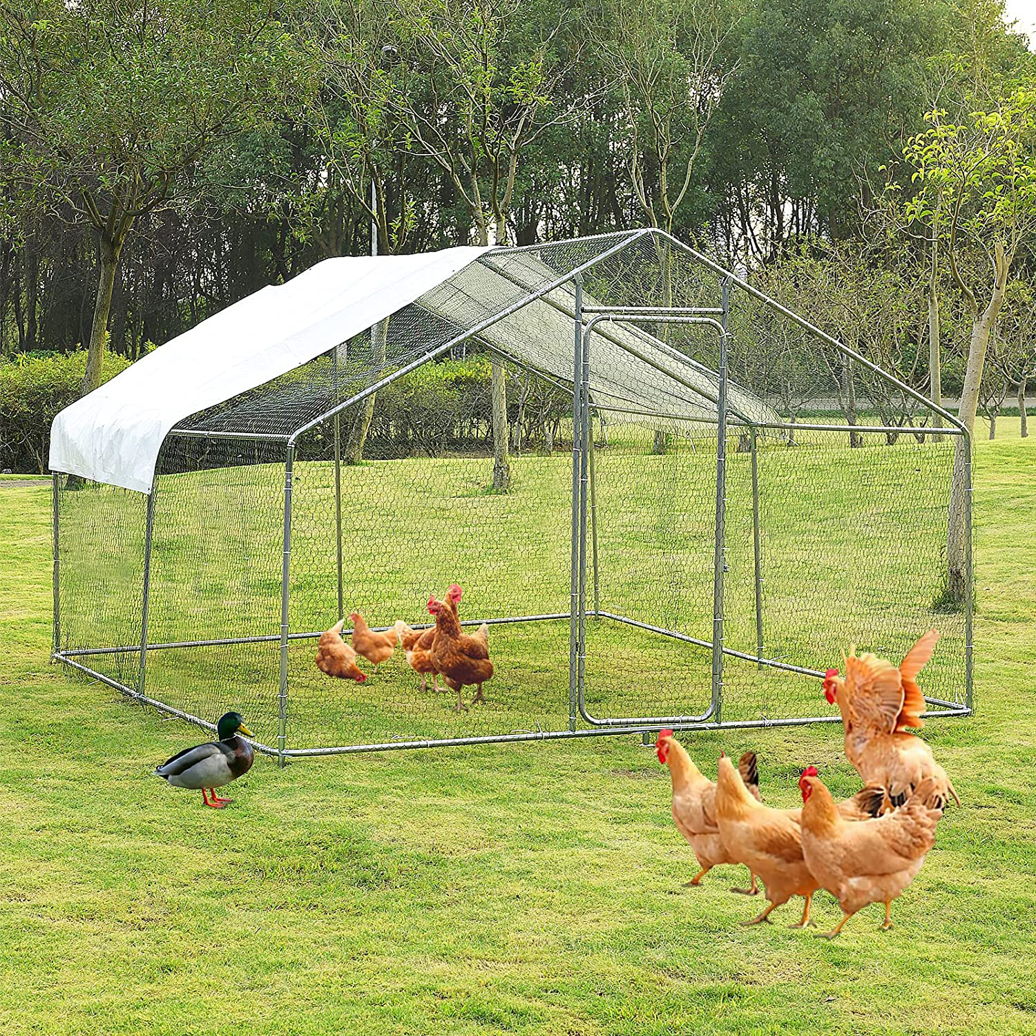 Grepatio Chicken Coop,Large Metal Chicken Run Cage,Dog Kennel Outdoor Duck House with Waterproof and Anti-Ultraviolet Cover for Backyard and Farm Use Animals & Pet Supplies > Pet Supplies > Dog Supplies > Dog Houses Grepatio 118”x118”x79” Spire  