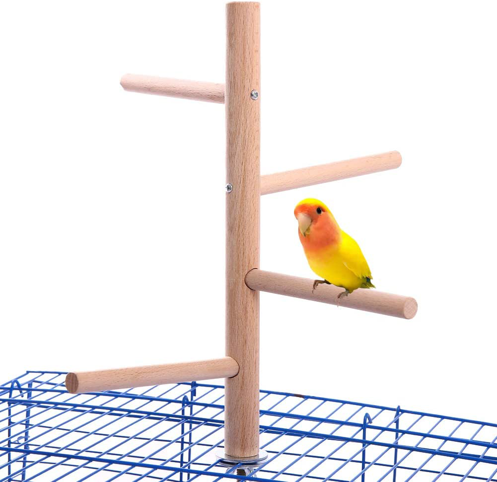 QBLEEV Bird Perch,Bird Cage Perch, Birdcage Stands, Parrot Cage Top Play Stands Wooden Branches for Conure Parakeet Budgie Cockatiels Lovebirds Animals & Pet Supplies > Pet Supplies > Bird Supplies > Bird Gyms & Playstands QBLEEV Small bird perch  