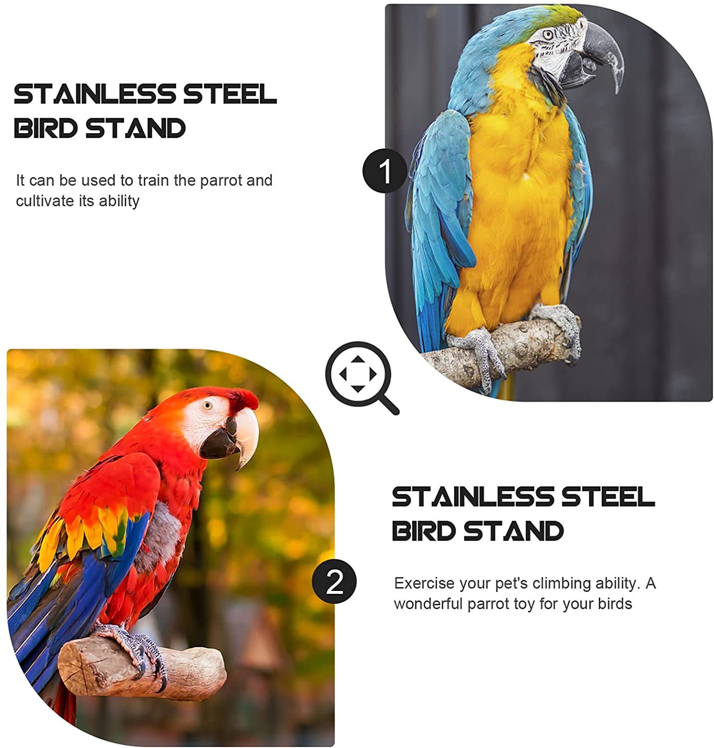 Balacoo Parrot Playstand Bird Playground Birdcage Metal Perch Stand Nest Play Stand Gym for Conures Parakeet Macaw African Silver Animals & Pet Supplies > Pet Supplies > Bird Supplies > Bird Gyms & Playstands balacoo   