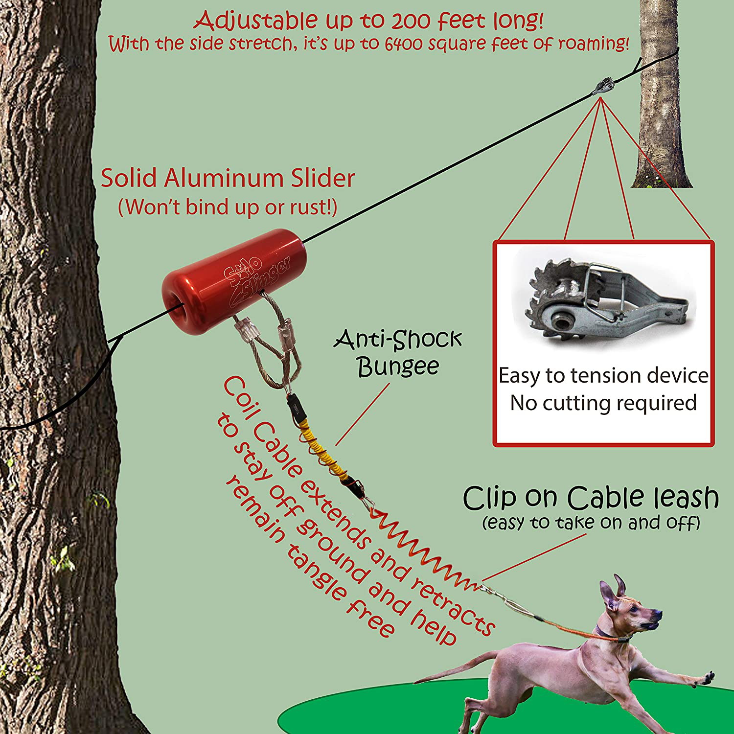 Coiled dog sale tie out cable