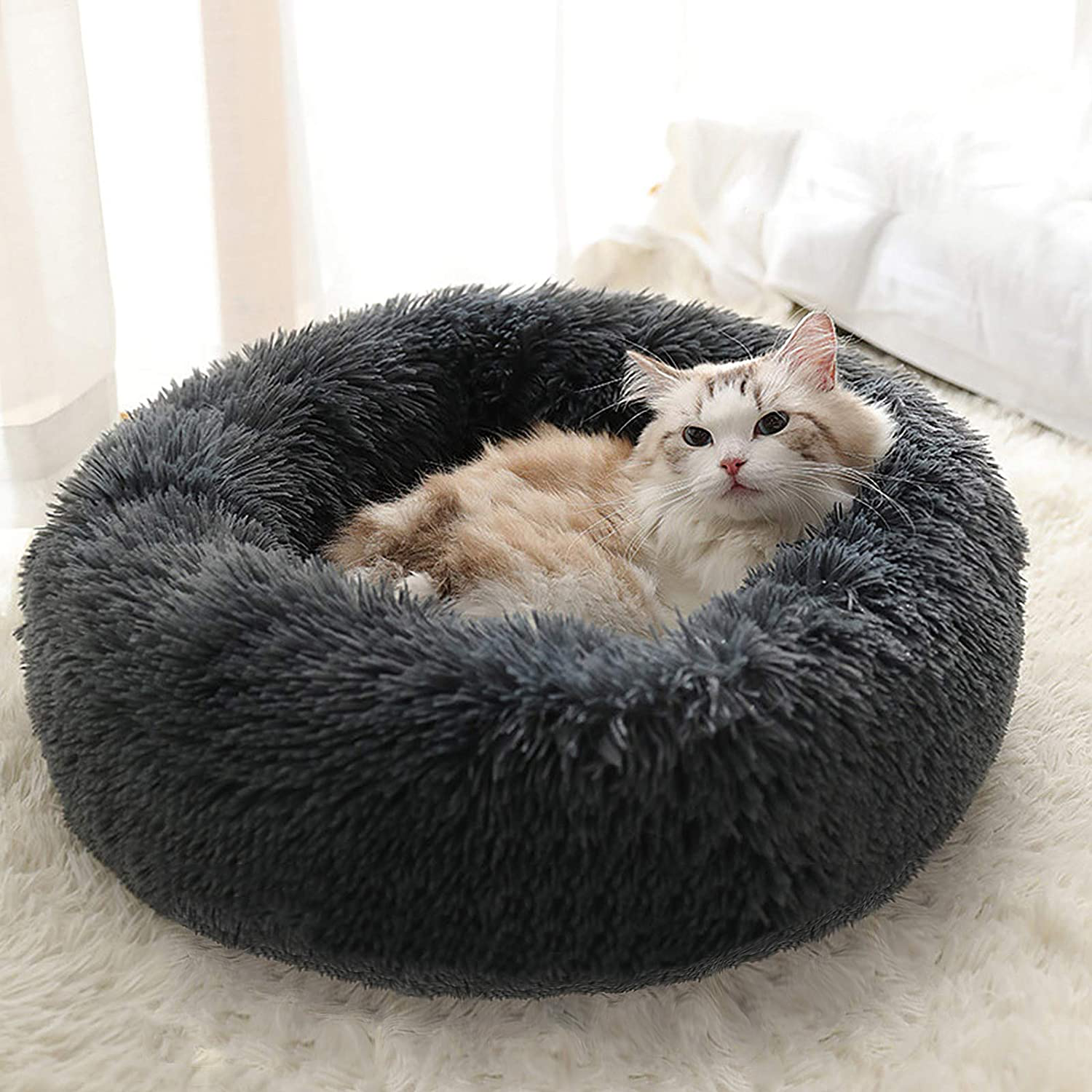 FAVOMATE Cat Beds for Indoor Cats, Machine Washable Dog Bed for Small Dogs, round Fluffy Donut Cuddler Calming Pet Bed, Anti-Anxiety Soft Plush Pet Bed for Puppy and Kitten Animals & Pet Supplies > Pet Supplies > Cat Supplies > Cat Furniture FAVOMATE Dark Grey 20x20 Inch (Pack of 1) 