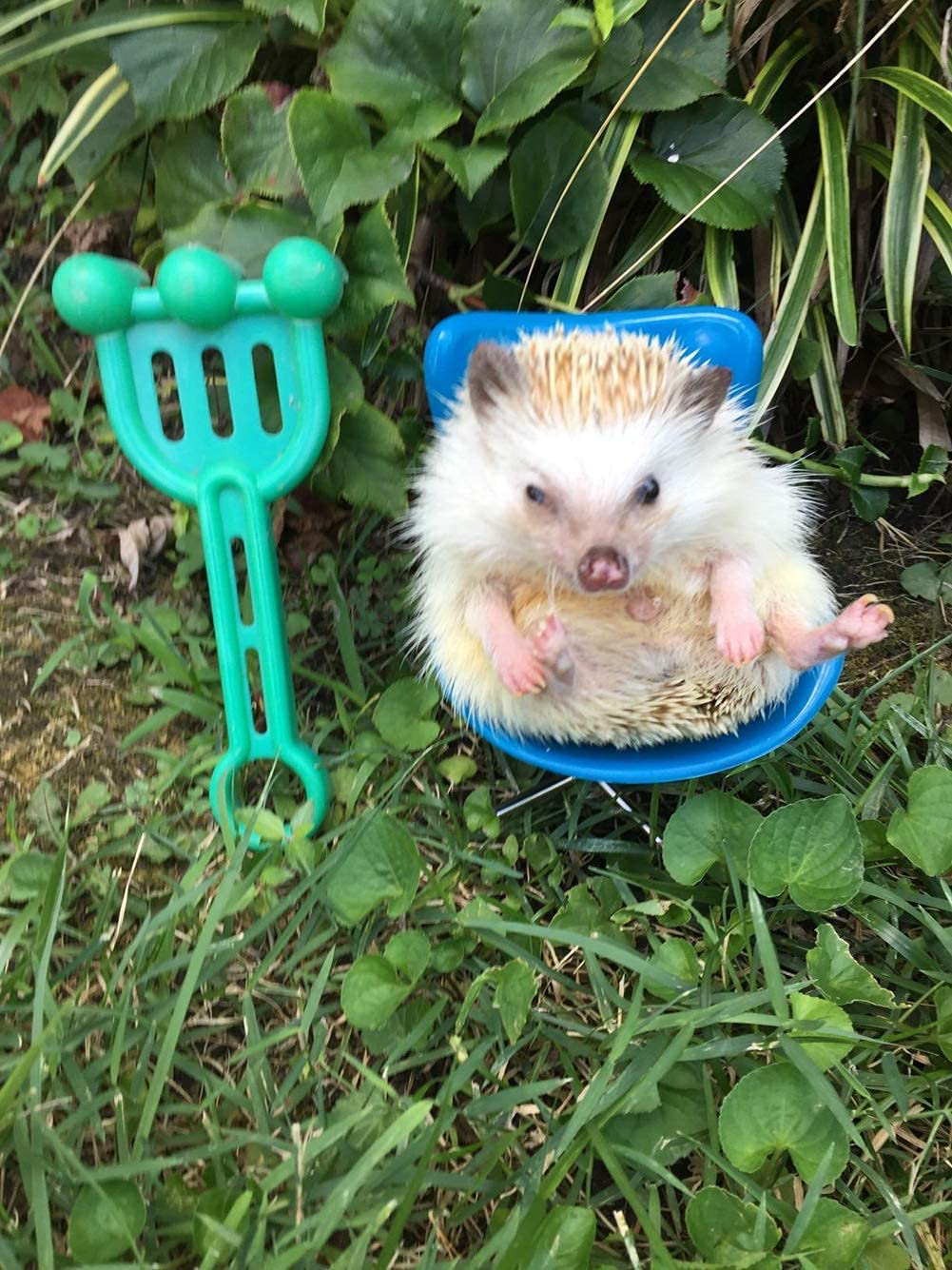 Hedgehog Chair Mini Plastic Swivel Seat Small Animal Toys Habitat Decor Cage Accessories Hedgehog Supplies Photo Props Chair Toy for Hedgehog,Bird,Parrot,Mouse,Chinchilla, Rat,Gerbil,Dwarf Hamster