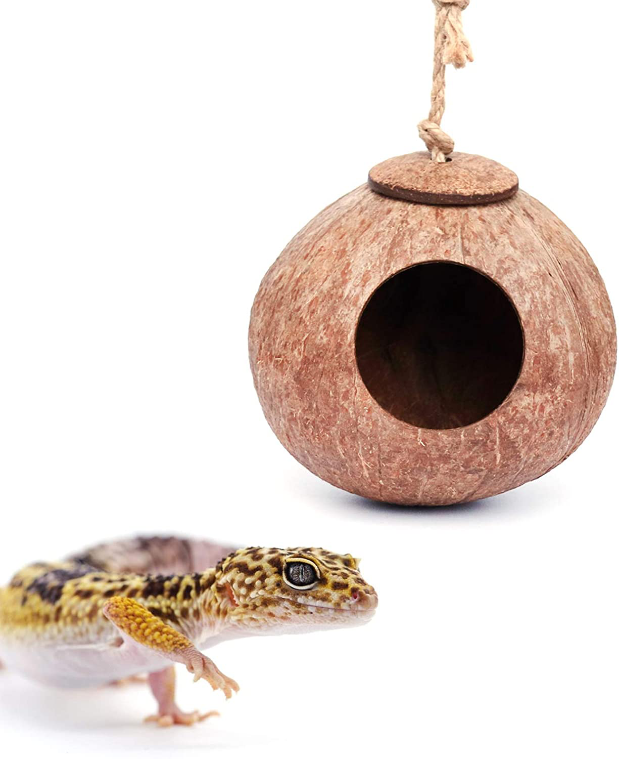 Gecko Coconut Husk Hut, Bird Hut Nesting House Hideouts Hanging Home, Treat & Food Dispenser, Durable Cave Habitat with Hanging Loop for Crested Gecko, Reptiles, Amphibians and Small Animals Animals & Pet Supplies > Pet Supplies > Reptile & Amphibian Supplies > Reptile & Amphibian Habitat Accessories Besimple Coconut Husk Hut  