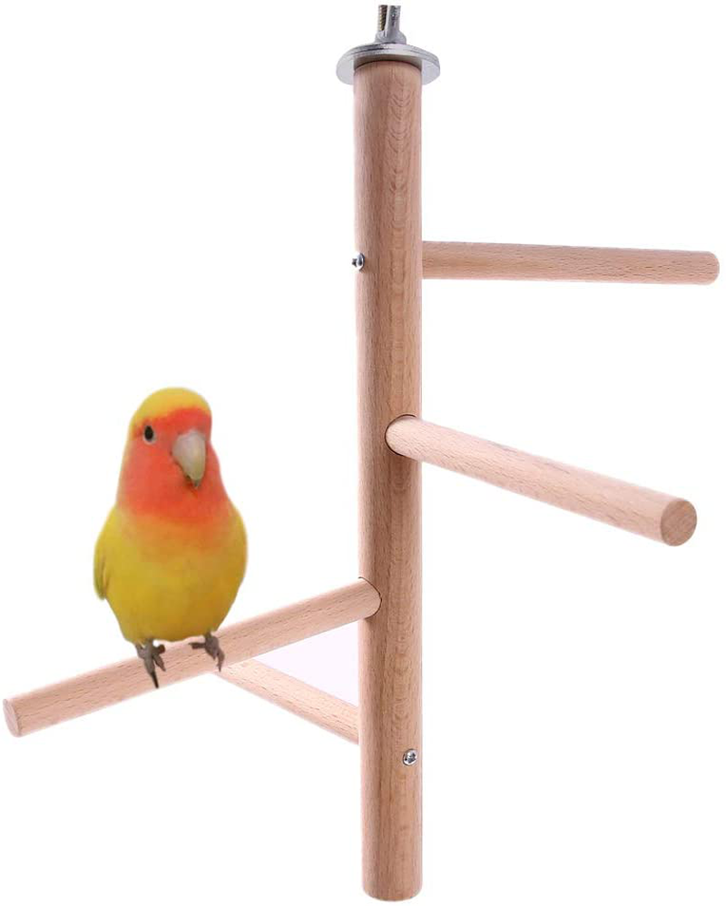 QBLEEV Bird Perch,Bird Cage Perch, Birdcage Stands, Parrot Cage Top Play Stands Wooden Branches for Conure Parakeet Budgie Cockatiels Lovebirds Animals & Pet Supplies > Pet Supplies > Bird Supplies > Bird Gyms & Playstands QBLEEV   