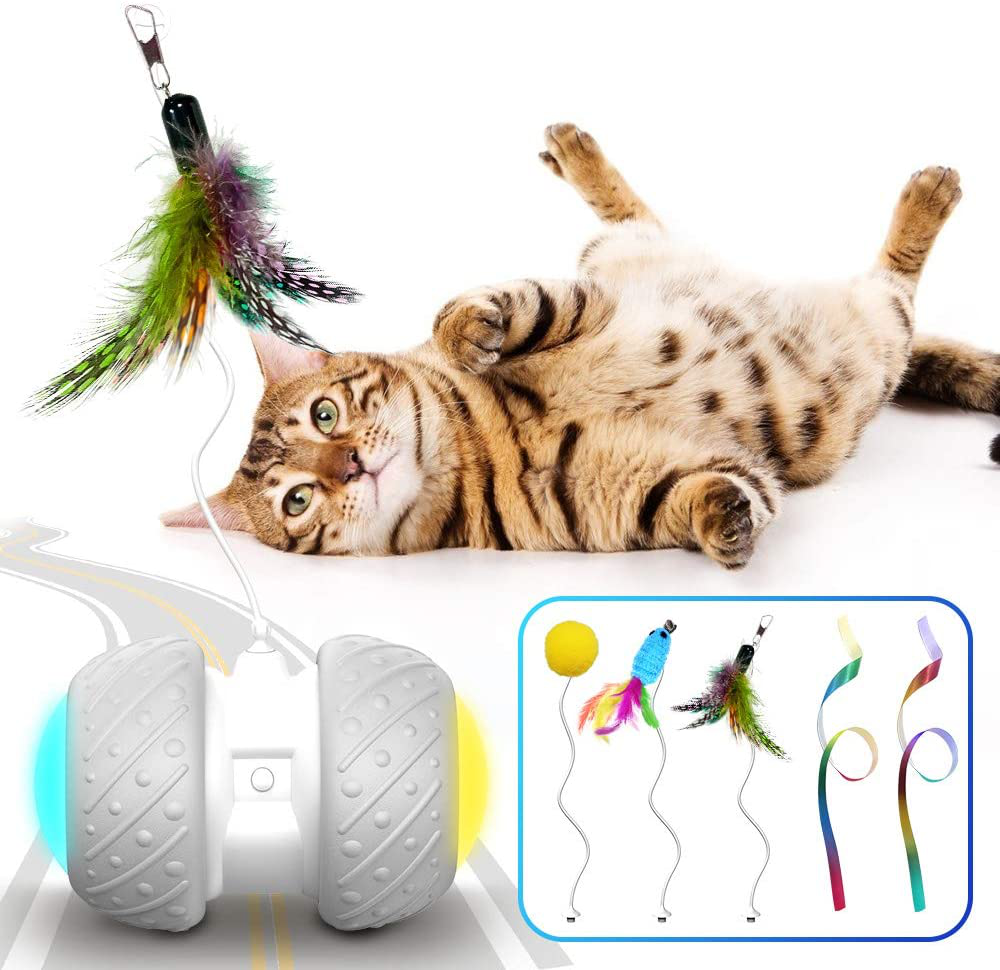 K-Berho Interactive Cat Toys for Indoor Cats, Irregularly Move Cat Ball Toys for Kitten/Cats, Robotic Cat Toy with Led Light/Feathers/Ribbon/Mouse Toys, Floors/Carpet Available, USB Charging Animals & Pet Supplies > Pet Supplies > Cat Supplies > Cat Toys k-berho   