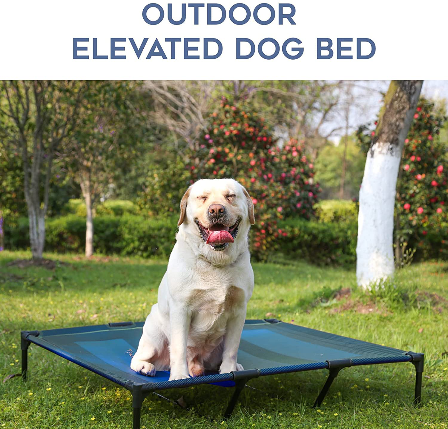 Suddus Elevated Dog Beds Waterproof Outdoor, Portable Raised Dog Bed, Dog Bed off the Floor, Dog Bed Easy Clean Indoor or Outdoor Use, Multiple Sizes…