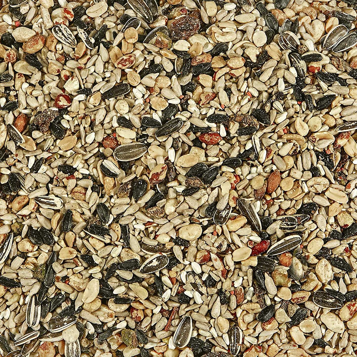 Kaytee Wild Bird Food Nut & Fruit Blend, 5 Pounds Animals & Pet Supplies > Pet Supplies > Bird Supplies > Bird Food Kaytee   