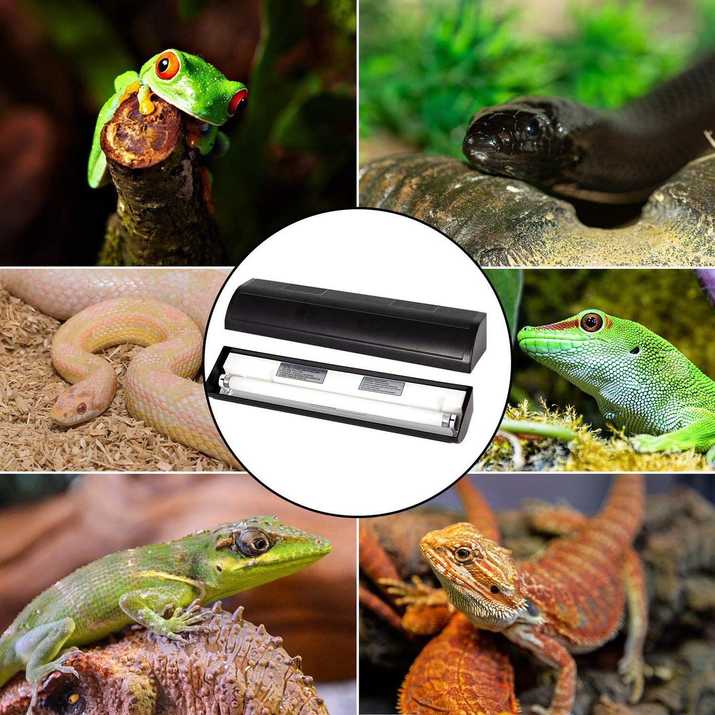 REPTI ZOO Reptile Terrarium Hood Tropical Desert T8 Strip Light Fixture for Use with One 18 Inch UVB Light Bulb 15 Watt(Not Include), ETL Certified Animals & Pet Supplies > Pet Supplies > Reptile & Amphibian Supplies > Reptile & Amphibian Habitats REPTI ZOO   