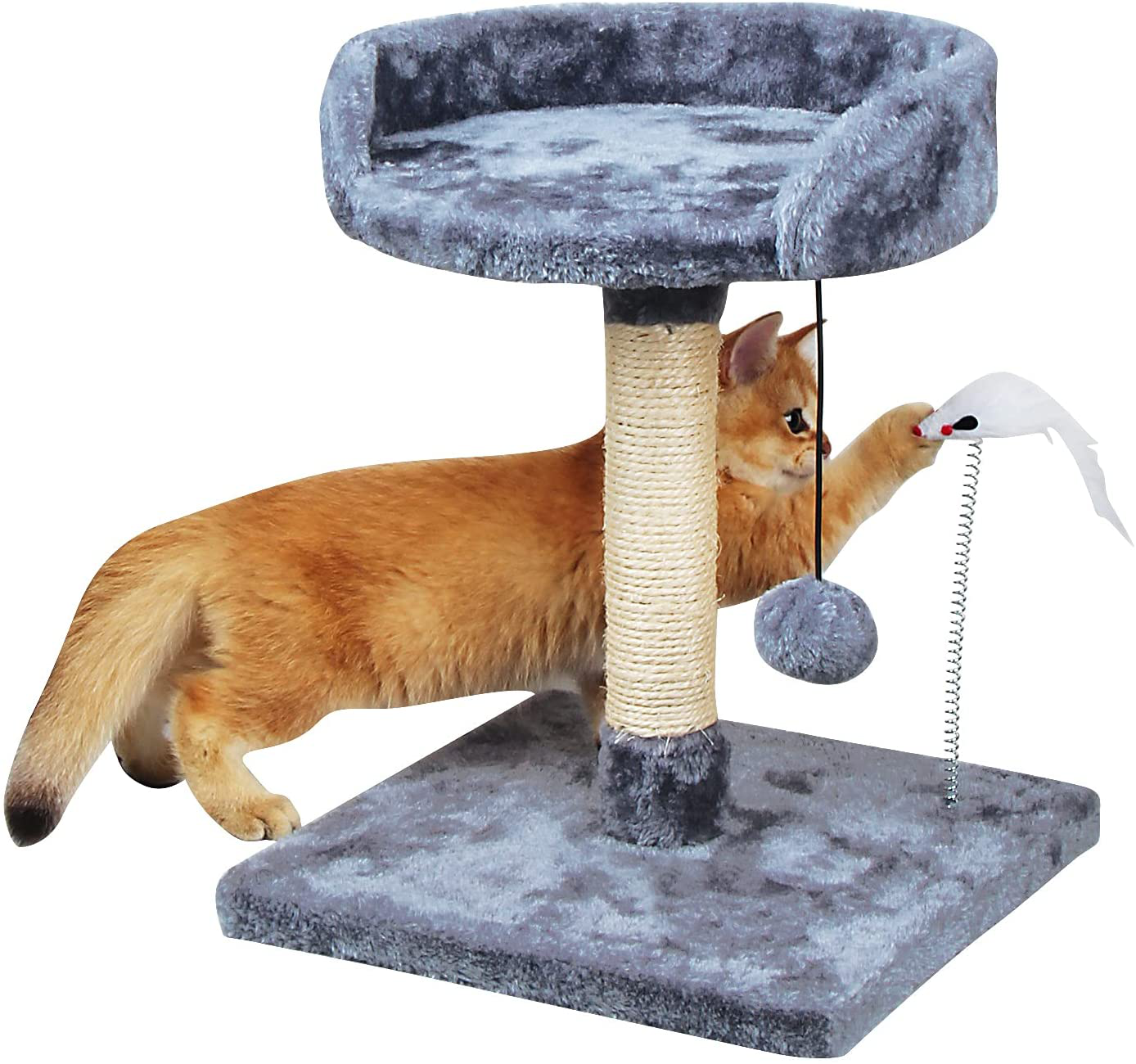 Little Bean Small Cat Tree Tower with Natural Sisal Scratching Post for Kitten Playground Tower Activity Platform Playground Furniture with Hanging Ball for Kitten Small Cat Animals & Pet Supplies > Pet Supplies > Cat Supplies > Cat Furniture Little Bean Gray  