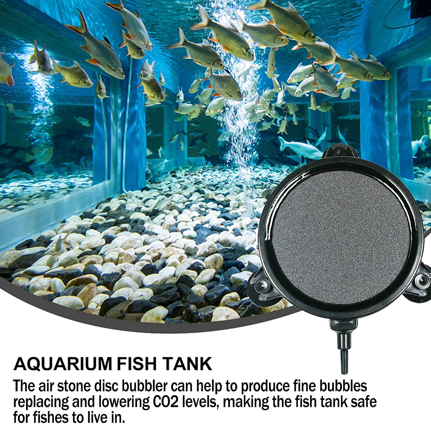 Hamiledyi 4.2 Inch Air Stone Disc Kit 6 Pieces round Bubble Diffuser Fish Tank Bubbler with Suction Cups for Oxygenation in Fresh/Saltwater Tank, Ponds, Hydroponic as Decorative Airstone for Aquariums Animals & Pet Supplies > Pet Supplies > Fish Supplies > Aquarium Air Stones & Diffusers Hamiledyi   