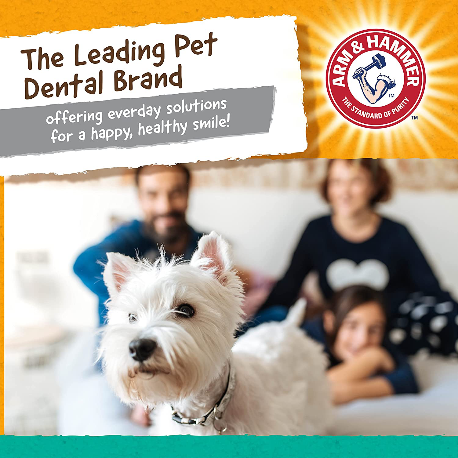 Pets Super Treadz Dental Chew Toy for Dogs - Dog Dental Chew Toys Reduce  Plaque & Tartar 