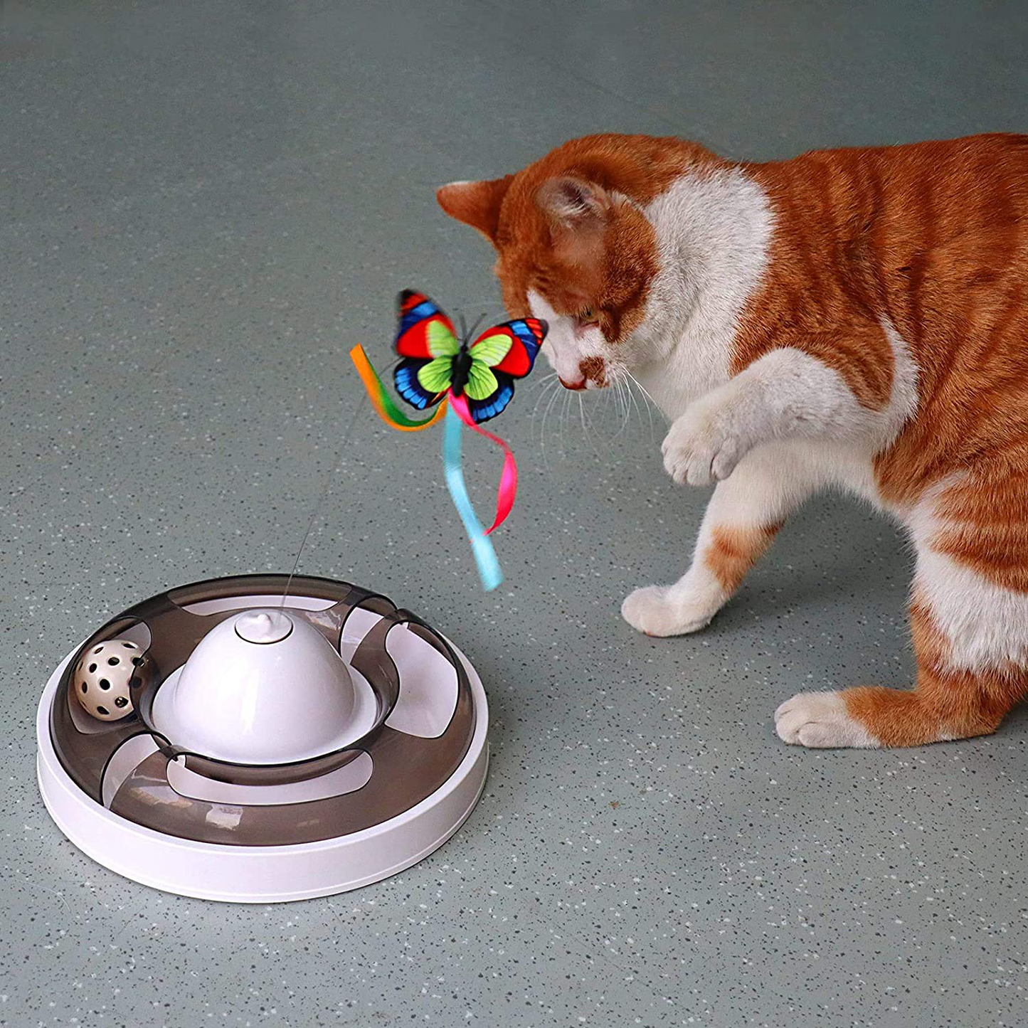 Cat Interactive Toys for Indoor Cats, Automatic Electronic Rotating Butterfly Toy with Roller Tracks Ball, Kitten Exercise Hunting Toy Games for Cats Pet, 2 Butterfly Replacements Animals & Pet Supplies > Pet Supplies > Cat Supplies > Cat Toys Baymyer   