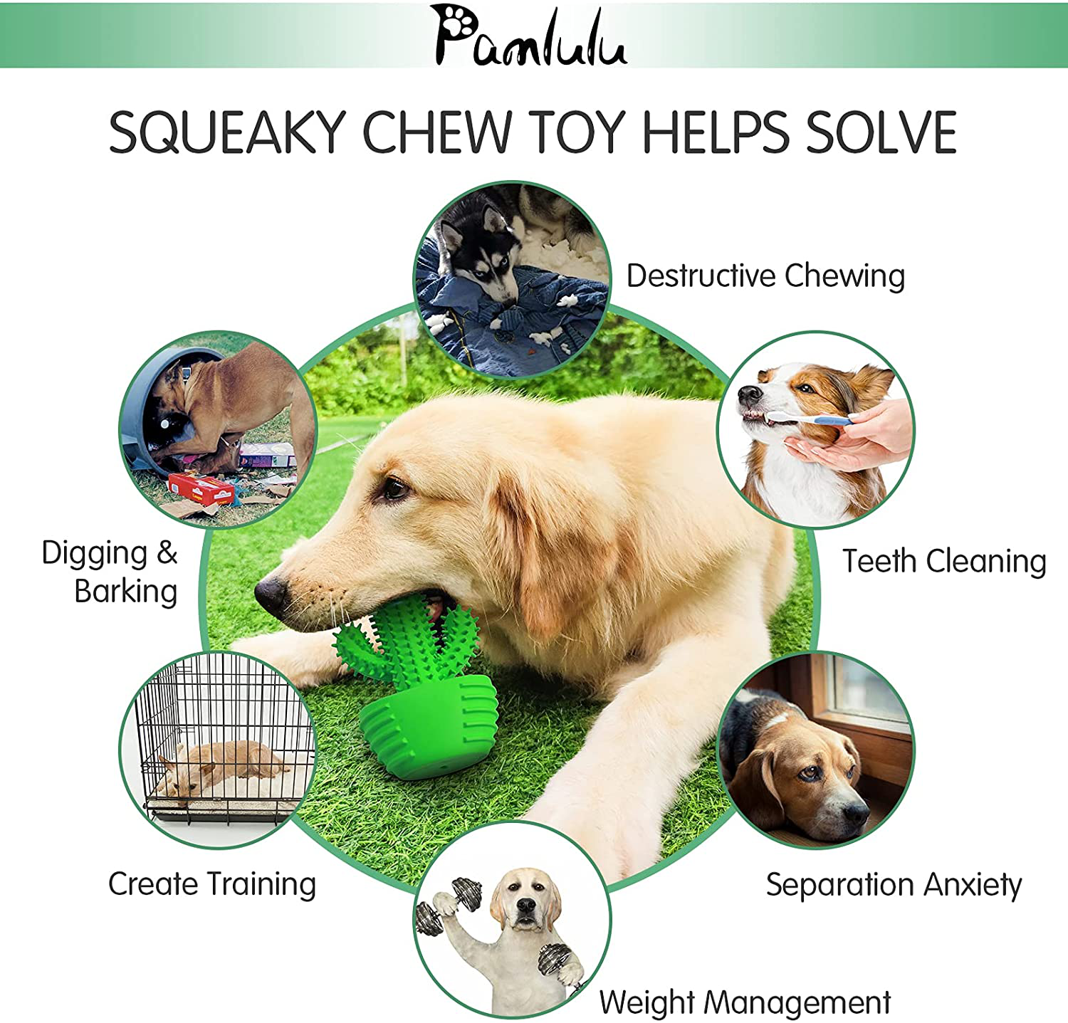 Teeth chew toy hot sale