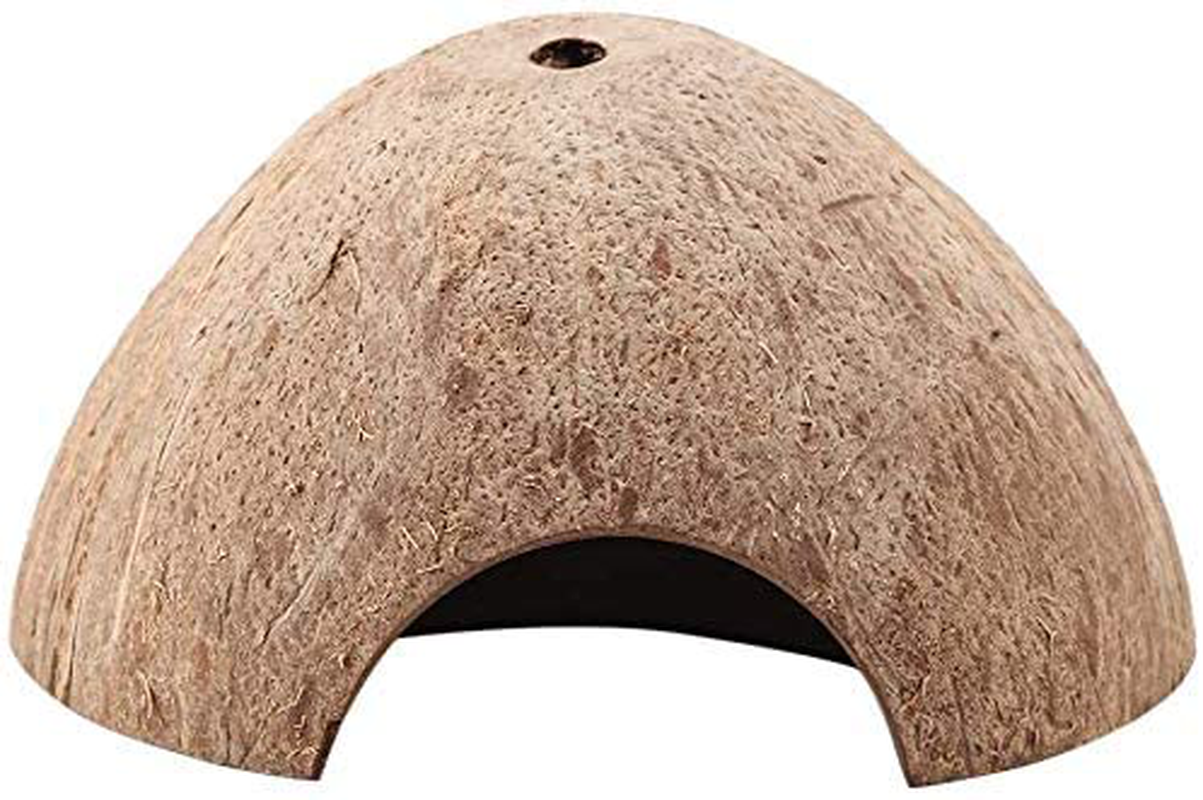 SEAJIAYI Hermit Crab Shells Large Xlarge Seashells Natural Coconut Hide Reptile Hideouts- Handpicked Turbo Seashell Natural Sea Conch Animals & Pet Supplies > Pet Supplies > Reptile & Amphibian Supplies > Reptile & Amphibian Substrates SEAJIAYI   