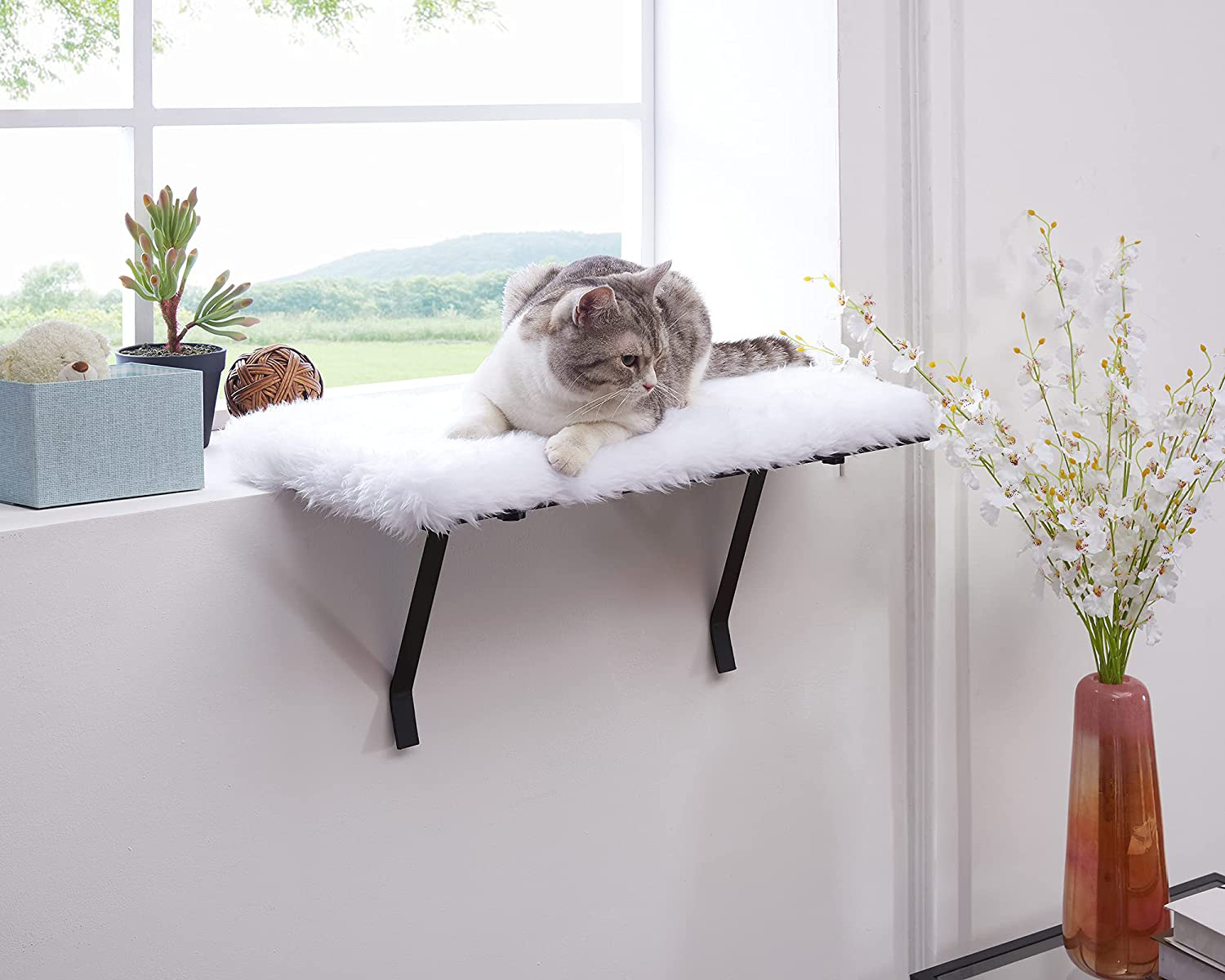 Diy cat perch top shelf