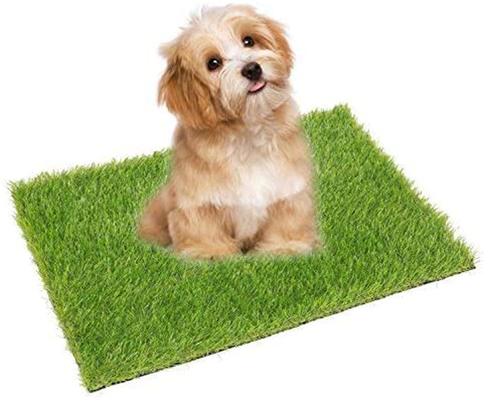 ECO MATRIX Artificial Grass Dog Training Door Mat Pee Pad Fake Grass Doormat Pet Turf Soft Green Lawn Rug Synthetic Grass Carpet Animals & Pet Supplies > Pet Supplies > Dog Supplies > Dog Kennels & Runs ECO MATRIX 16*24inch  