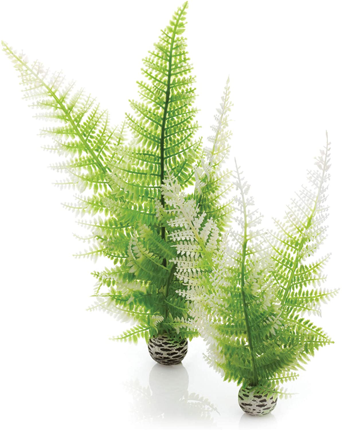 Biorb Easy Plant Sets Animals & Pet Supplies > Pet Supplies > Fish Supplies > Aquarium Decor Deepwater Aquatics Distribution Winter Fern Medium 