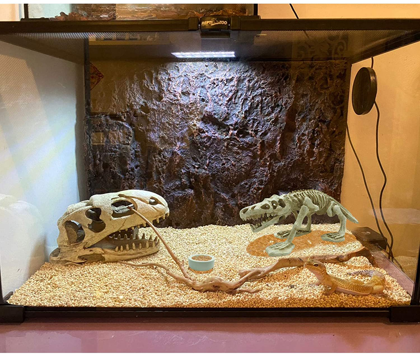 Tfwadmx Bearded Dragon Tank Accessories Resin Dinosaur Skeleton Decoration Artificial Dinosaur Fossil Reptile Ornament Habitat Bone Landscaping Decor or Gecko,Snakes,Lizard and Fish(4 Pcs)