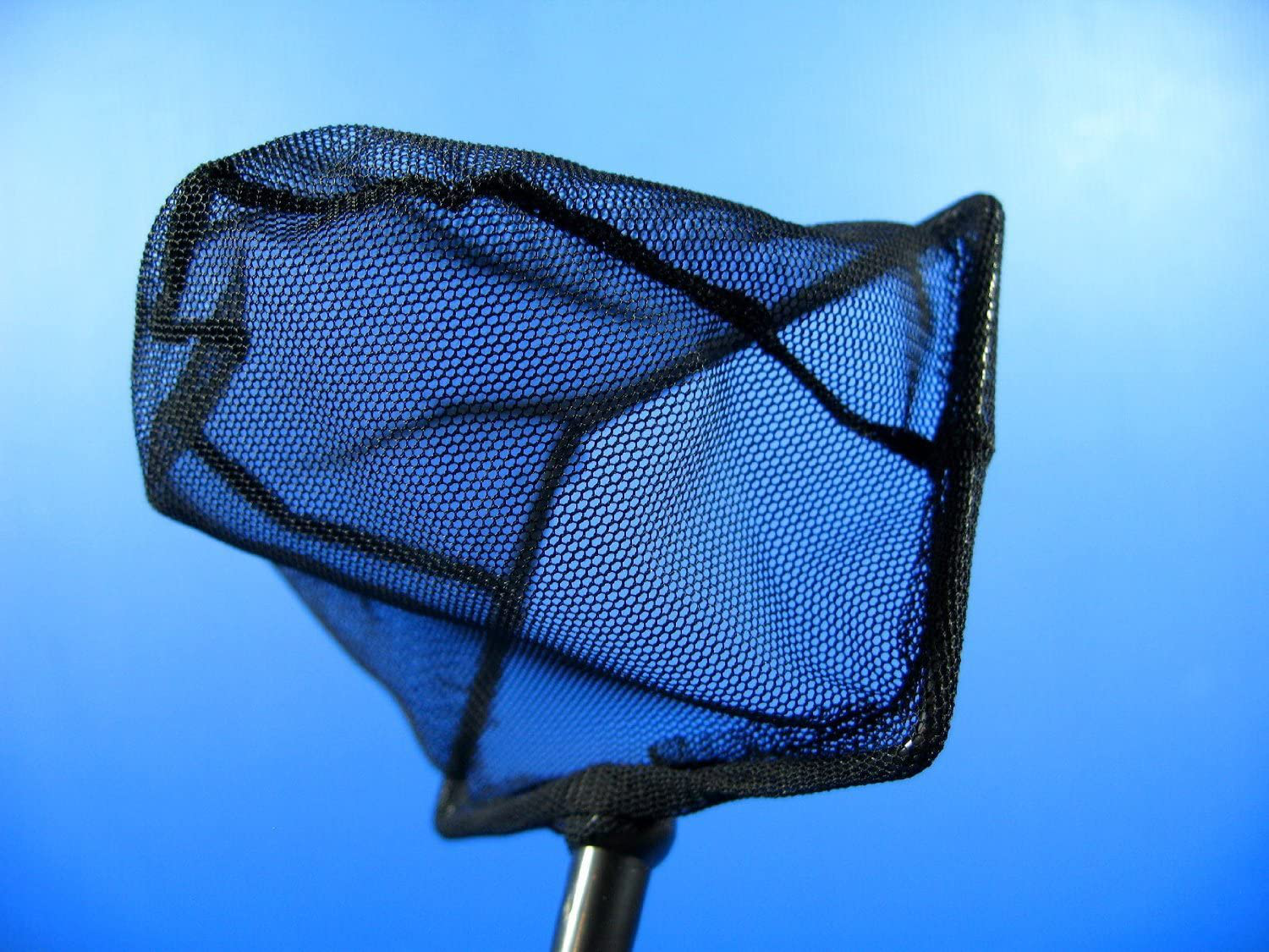 CORISRX BEST of YOUR LIFESTYLE Aquarium Adjustable Fish NET 4.9"X3.9" Fine Mesh Stainless Steel Handle Shrimp Animals & Pet Supplies > Pet Supplies > Fish Supplies > Aquarium Fish Nets CORISRX BEST OF YOUR LIFESTYLE   