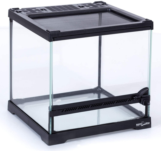 REPTIZOO Mini Reptile Glass Terrarium,Front Opening Door Full View Visually Appealing Mini Reptile or Amphibians Glass Habitat Animals & Pet Supplies > Pet Supplies > Reptile & Amphibian Supplies > Reptile & Amphibian Habitat Accessories REPTIZOO 8"x8"x8"  