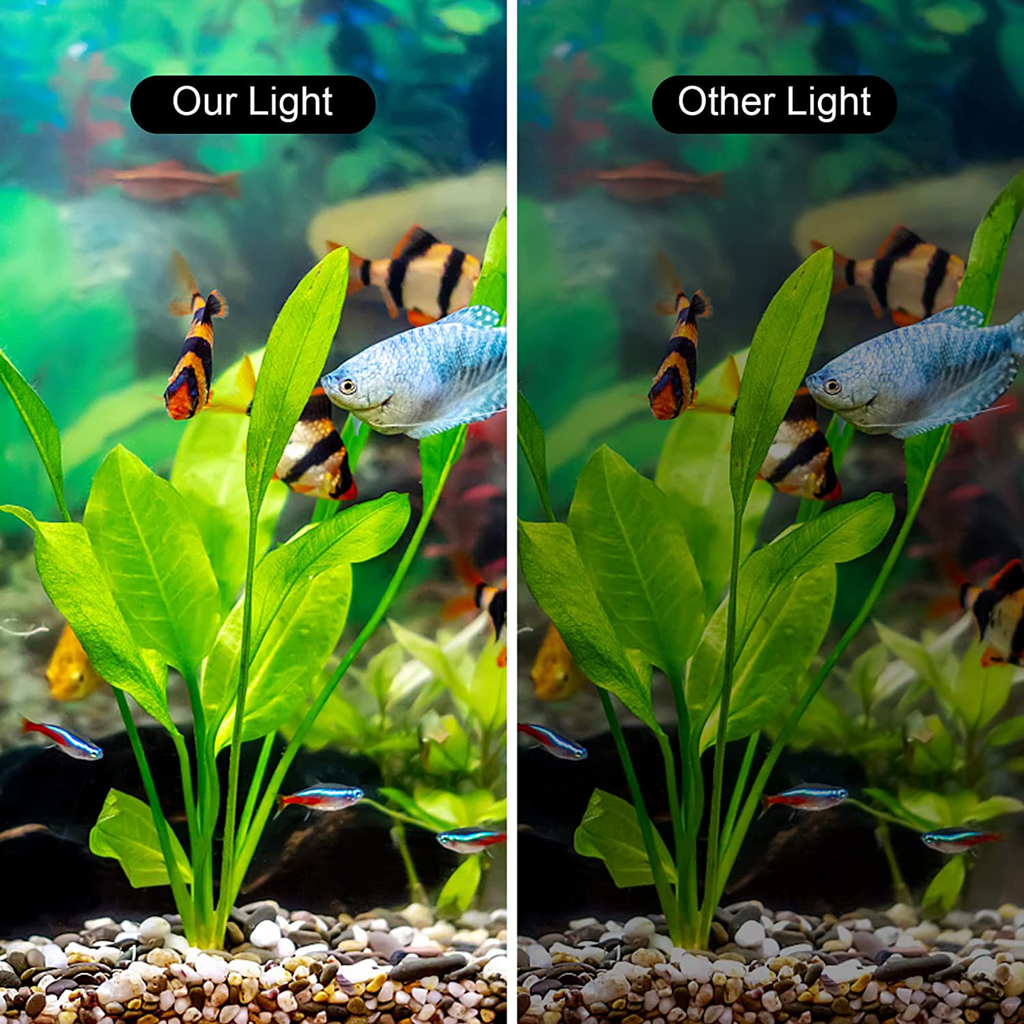 WEAVERBIRD Double Head Aquarium Fish Tank Light 15W 32 LED Aquarium Planted Clip Lamp 1600LM White LED Lighting for 8-15 Inch Fish Tank Animals & Pet Supplies > Pet Supplies > Fish Supplies > Aquarium Lighting WEAVERBIRD   