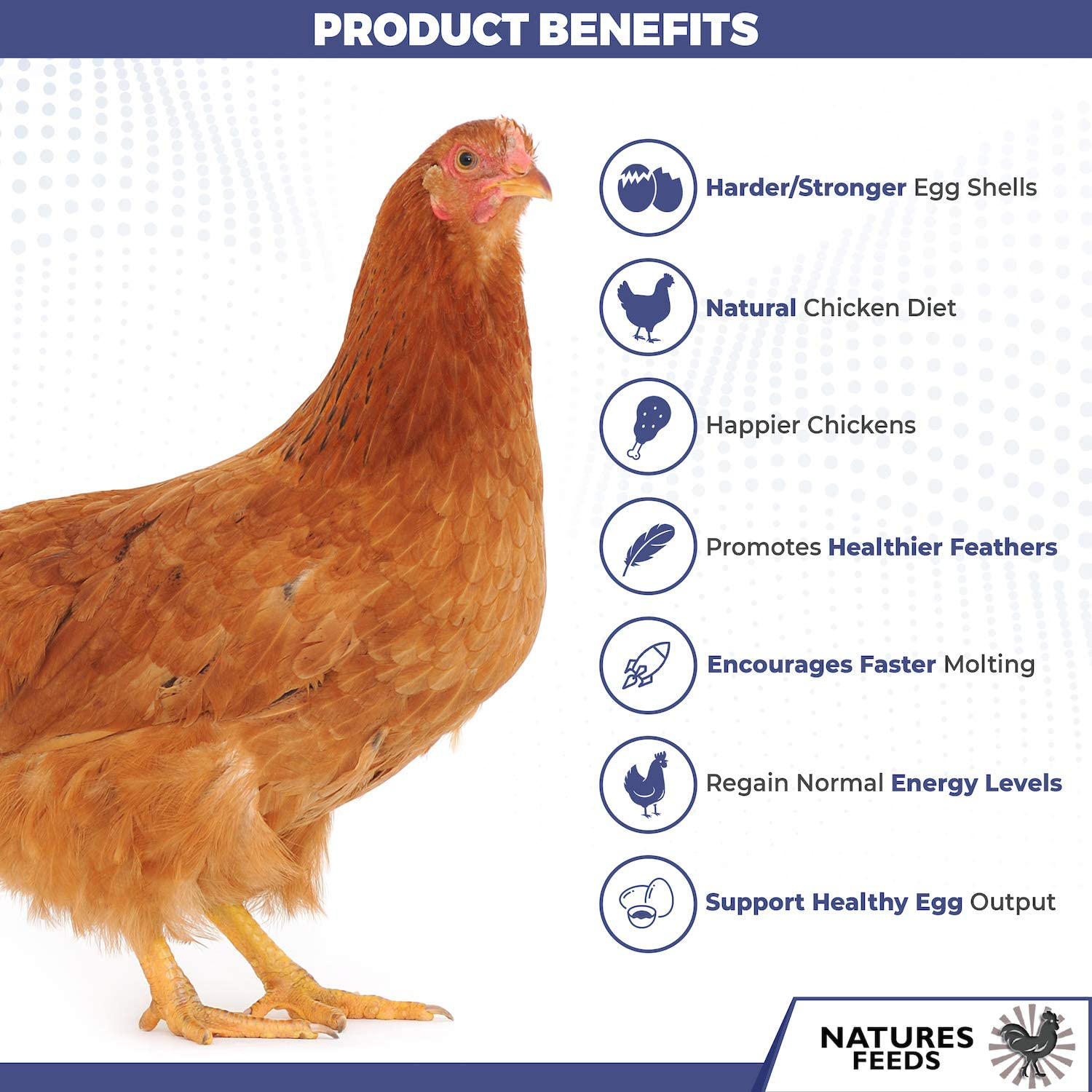 Naturesfeeds Superior Chicken Treats (10 Lbs) - 85X More Calcium Vs Mealworms - Chicken Feed & Molting Supplement - BSF Larvae Treats for Birds, Hens, Ducks, Chickens, Reptiles, Lizards Animals & Pet Supplies > Pet Supplies > Bird Supplies > Bird Treats NATURES FEEDS   