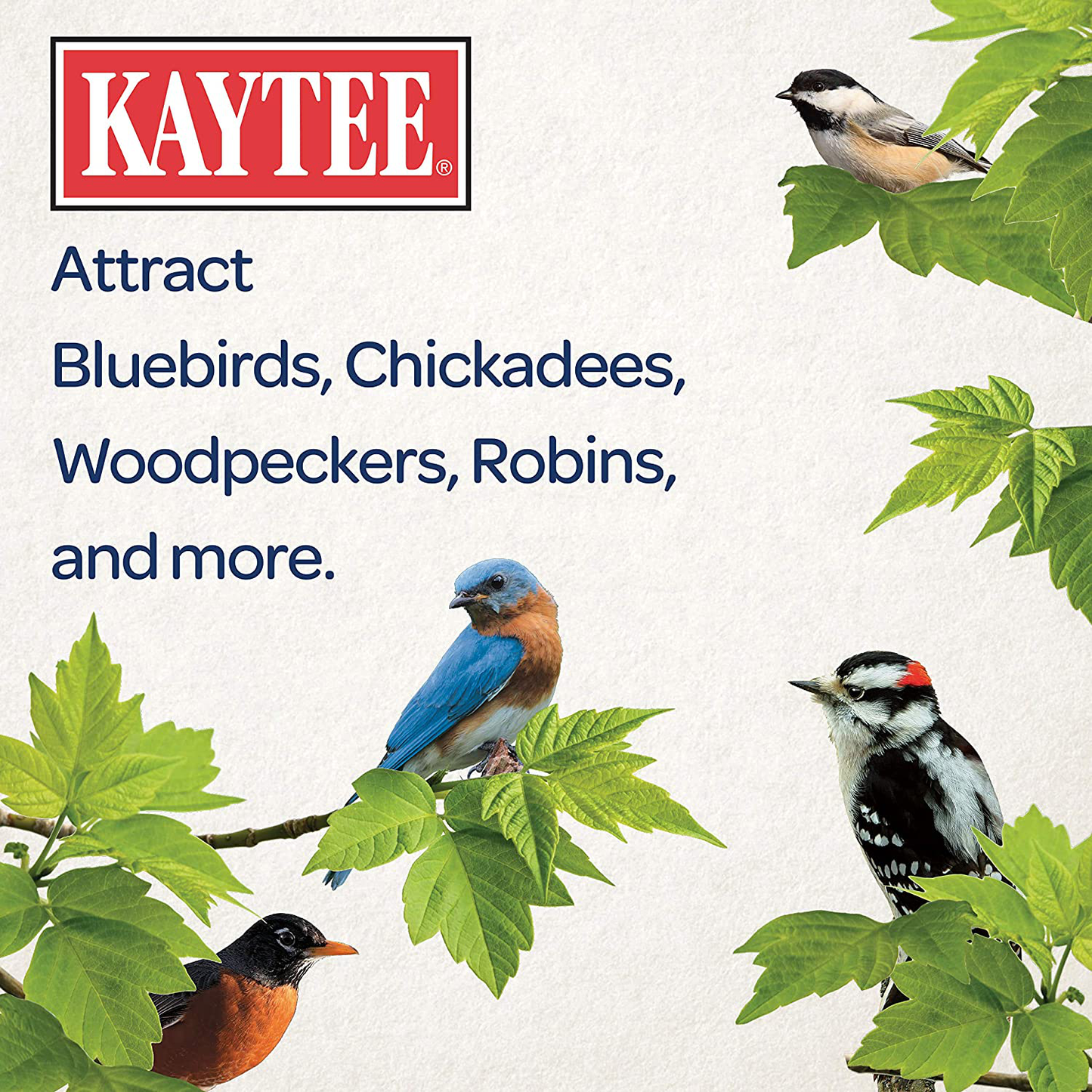 Kaytee 100541001 Woodpecker Cake, 6-Pack Animals & Pet Supplies > Pet Supplies > Bird Supplies > Bird Treats Kaytee   