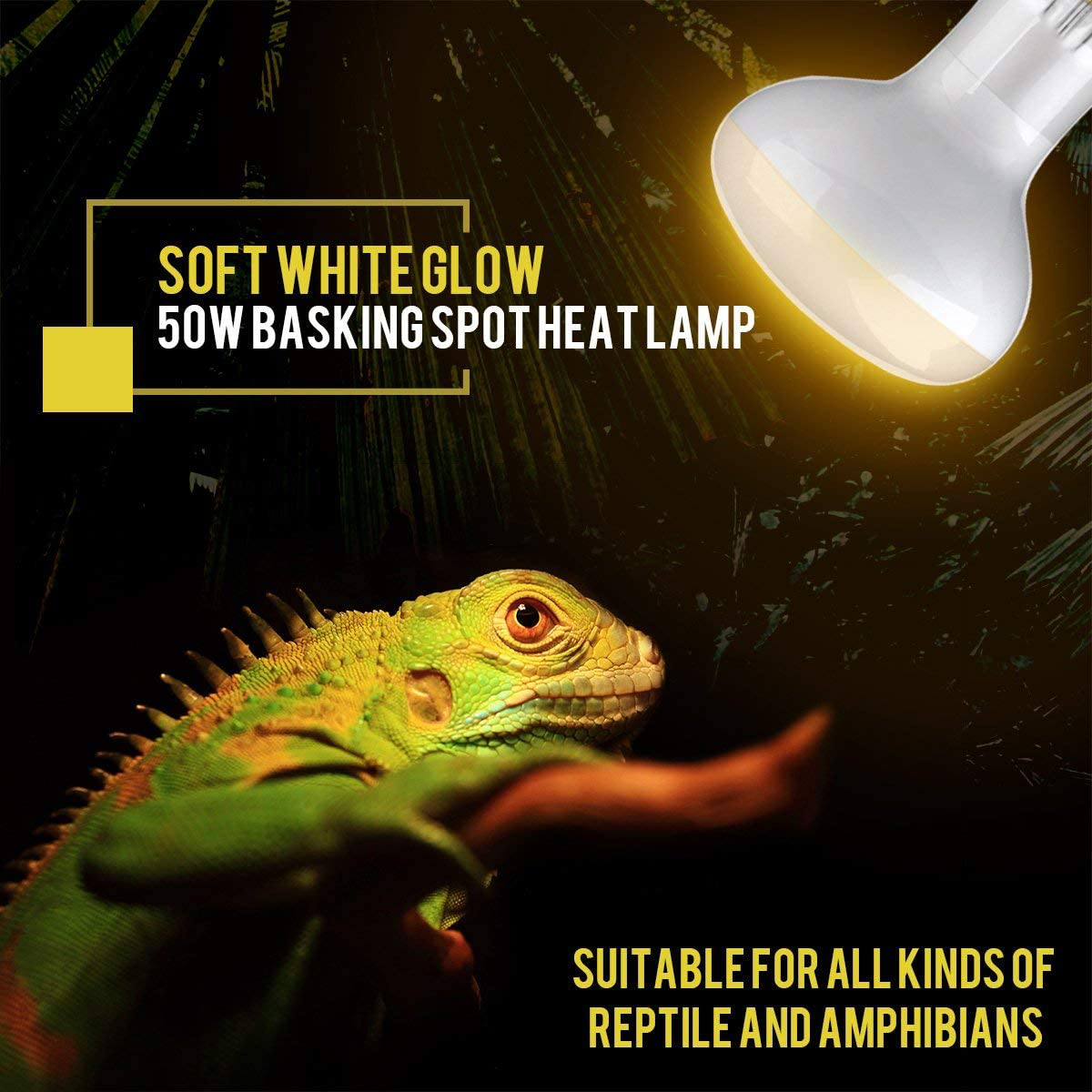 OMAYKEY 50W 2 Pack Basking Spot Heat Lamp Bulb Soft White Glow UVA Glass Cover Heat Lamp/Bulb/Light for Lizard Chameleon Bearded Dragon Snake Aquarium Reptile & Amphibian