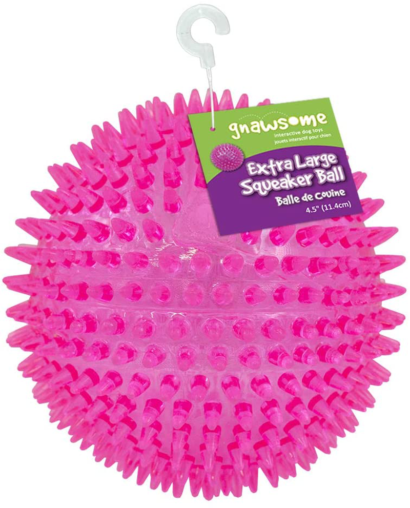 Gnawsome™ 4.5” Spiky Squeaker Ball Dog Toy - Extra Large, Cleans Teeth and Promotes Good Dental and Gum Health for Your Pet, Colors Will Vary Animals & Pet Supplies > Pet Supplies > Dog Supplies > Dog Toys Gnawsome   