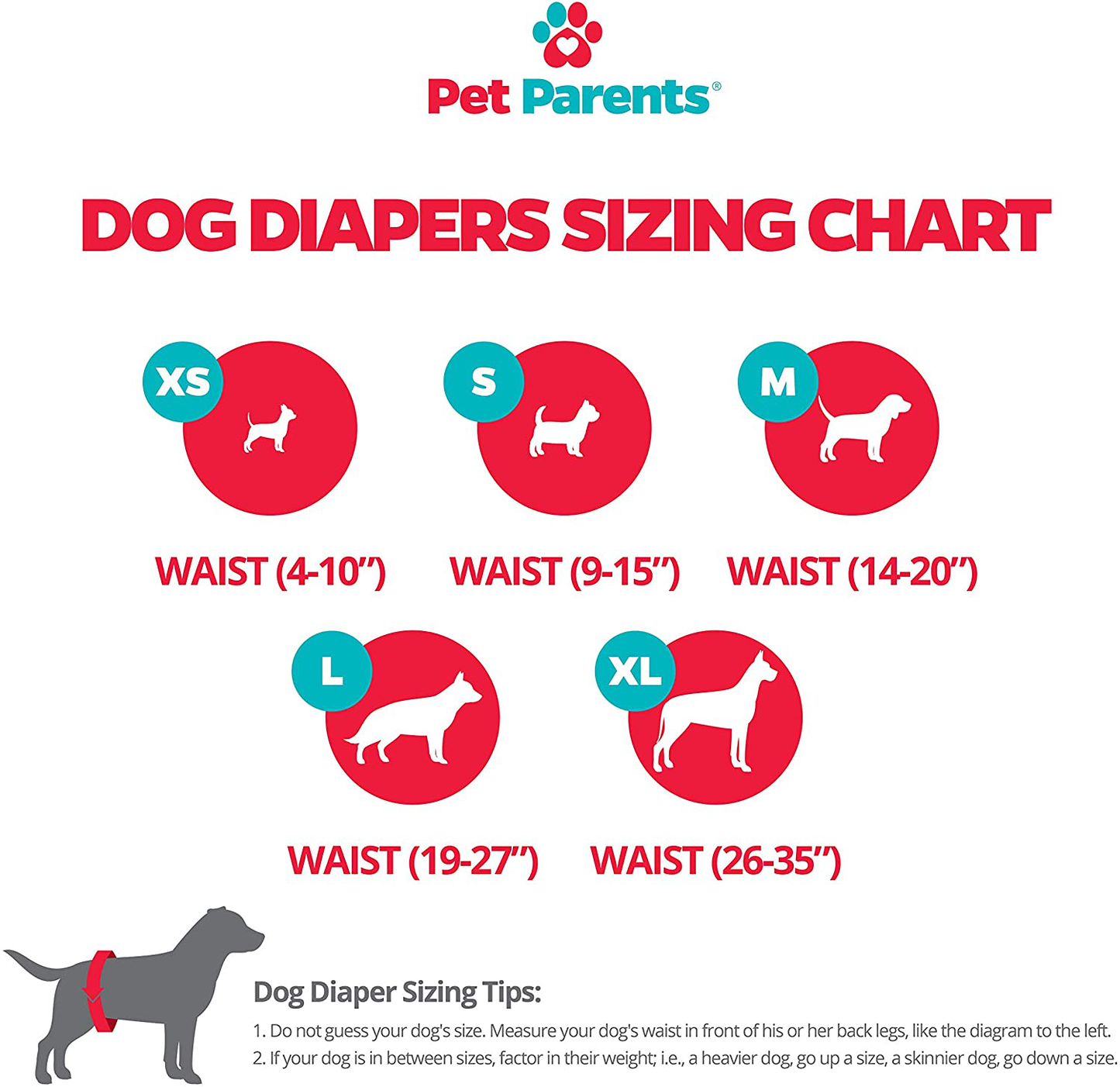 Pet Parents Washable Dog Diapers (3Pack) of Durable Doggie Diapers, Premium Male & Female Dog Diapers