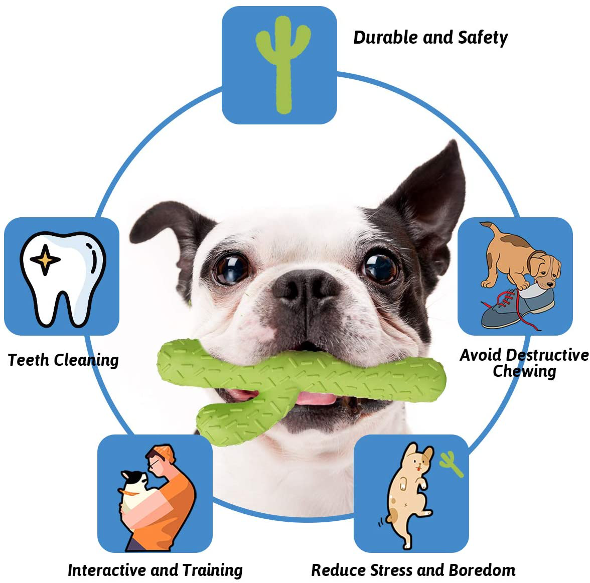 Mewajump Dog Chew Toys, Durable Rubber Dog Toys for Aggressive Chewers, Cactus Tough Toys for Training and Cleaning Teeth, Interactive Dog Toys for Small/Medium Dog Animals & Pet Supplies > Pet Supplies > Dog Supplies > Dog Toys mewajump   