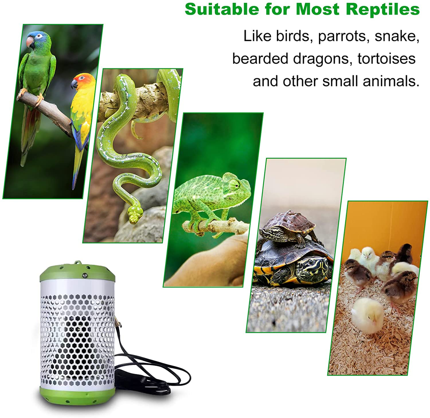 Reptile Anti-Scald Lamp Covers Heater Guard with 100 Watt Infrared Ceramic Heat Lamp,For Turtle, Snakes, Lizards, Frogs, Chicks,Switch&Anti-Biting Hanging Hook Design (Large 100W) Animals & Pet Supplies > Pet Supplies > Reptile & Amphibian Supplies > Reptile & Amphibian Substrates Kaduocom   