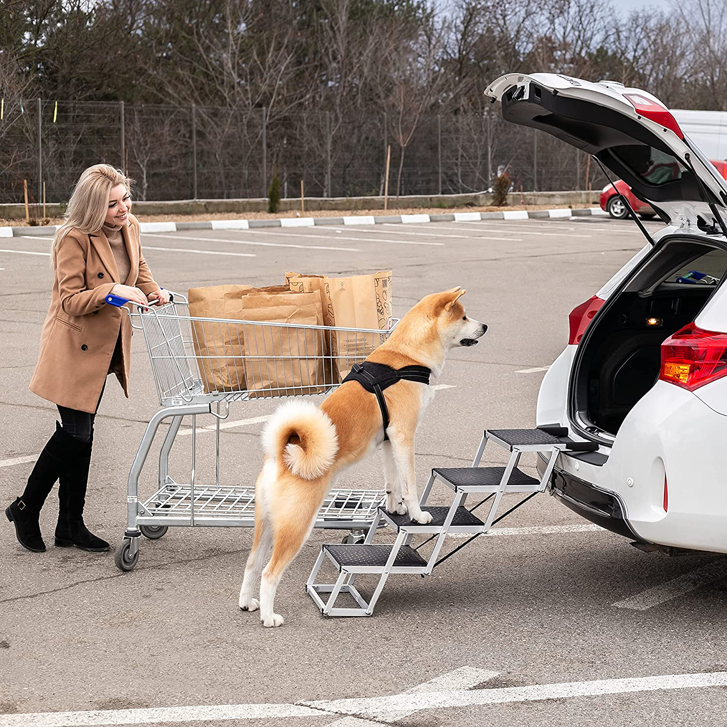 Dog steps for sales suv