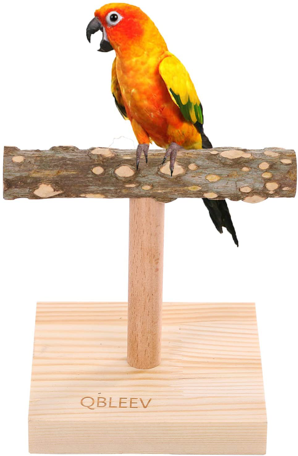QBLEEV Bird Tabletop Training Stand Perch，Portable Parrot Tee Play Stands, Natural Wood Bird Cage Toys Gym Playground for Small Medium Parakeets Cocktails Conures Lovebirds Finch Animals & Pet Supplies > Pet Supplies > Bird Supplies > Bird Cage Accessories QBLEEV Small  