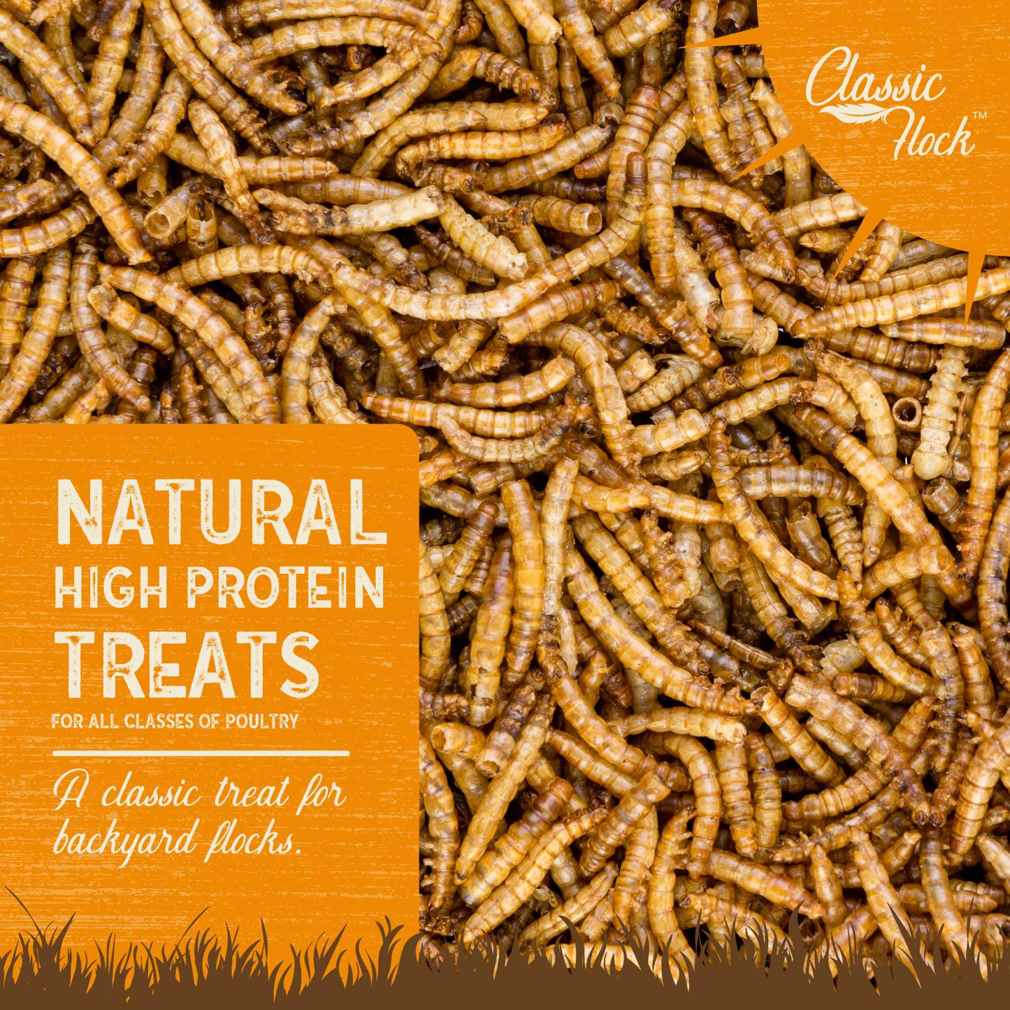 Classic Flock Dried Mealworms Animals & Pet Supplies > Pet Supplies > Reptile & Amphibian Supplies > Reptile & Amphibian Food Classic Flock   