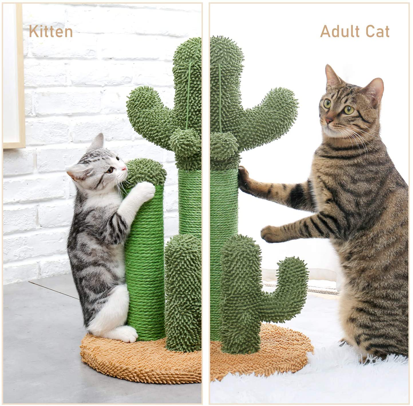 PAWZ Road Cat Scratching Post Cactus Cat Scratcher Featuring with 3 Scratching Poles and Interactive Dangling Ball