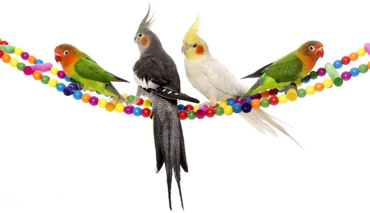 Mrli Pet Ladder Bird Toys for Bird Parrot Macaw African Greys Budgies Cockatiels Parakeet Hamster Rat Crawling Rainbow Bridge Wooden Cage Funny Perch Trainning Swing Toys Animals & Pet Supplies > Pet Supplies > Bird Supplies > Bird Ladders & Perches Mrli Pet 10 Ladders  