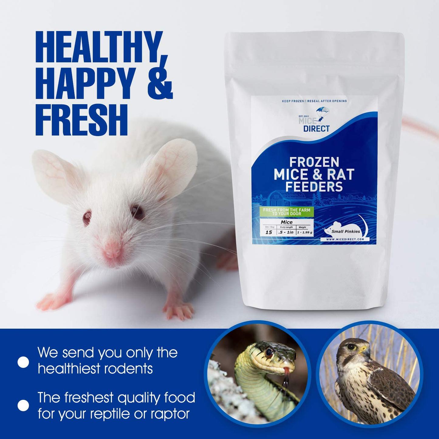 Micedirect 10 Fuzzie Rats: Pack of Frozen Fuzzie Feeder Rats - Food for Corn Snakes, Ball Pythons, Lizards and Other Pet Reptiles - Freshest Snake Feed Supplies Animals & Pet Supplies > Pet Supplies > Reptile & Amphibian Supplies > Reptile & Amphibian Food MiceDirect   