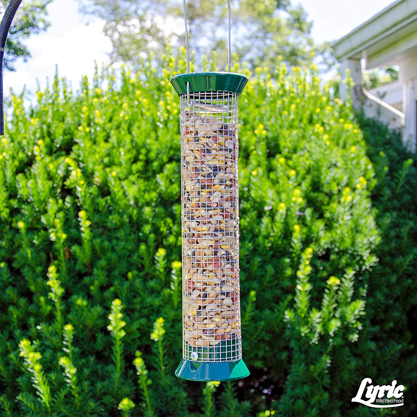 Lyric 2647417 Fruit & Nut High Energy Wild Bird Food, 20 Lb Animals & Pet Supplies > Pet Supplies > Bird Supplies > Bird Food Lyric   