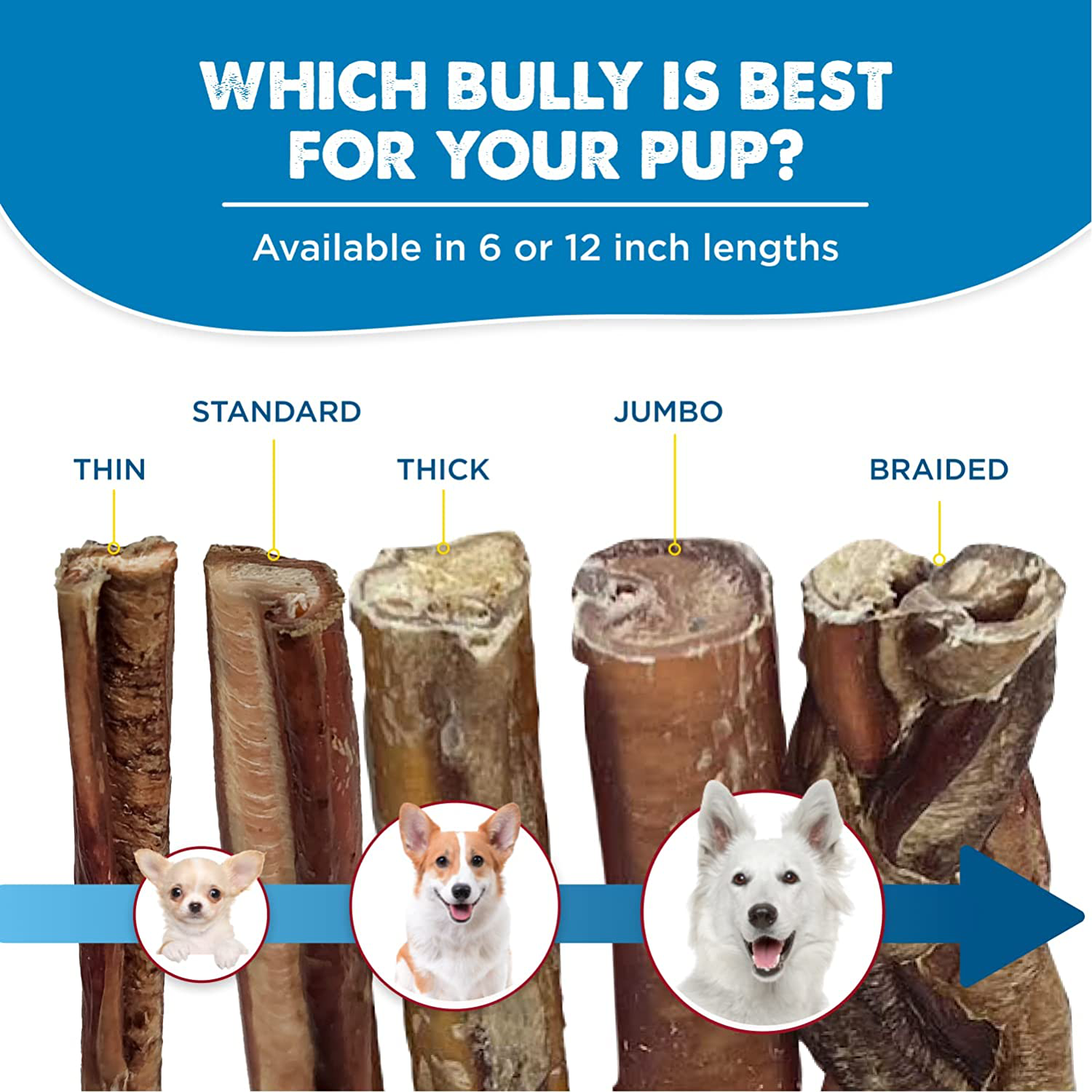 Best Bully Sticks All-Natural Bully Stick Dog Treats for Small, Medium, and Large Dogs