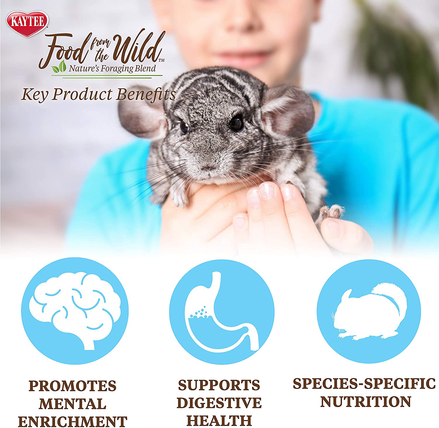 Food from the Wild Chinchilla Animals & Pet Supplies > Pet Supplies > Small Animal Supplies > Small Animal Food Kaytee   