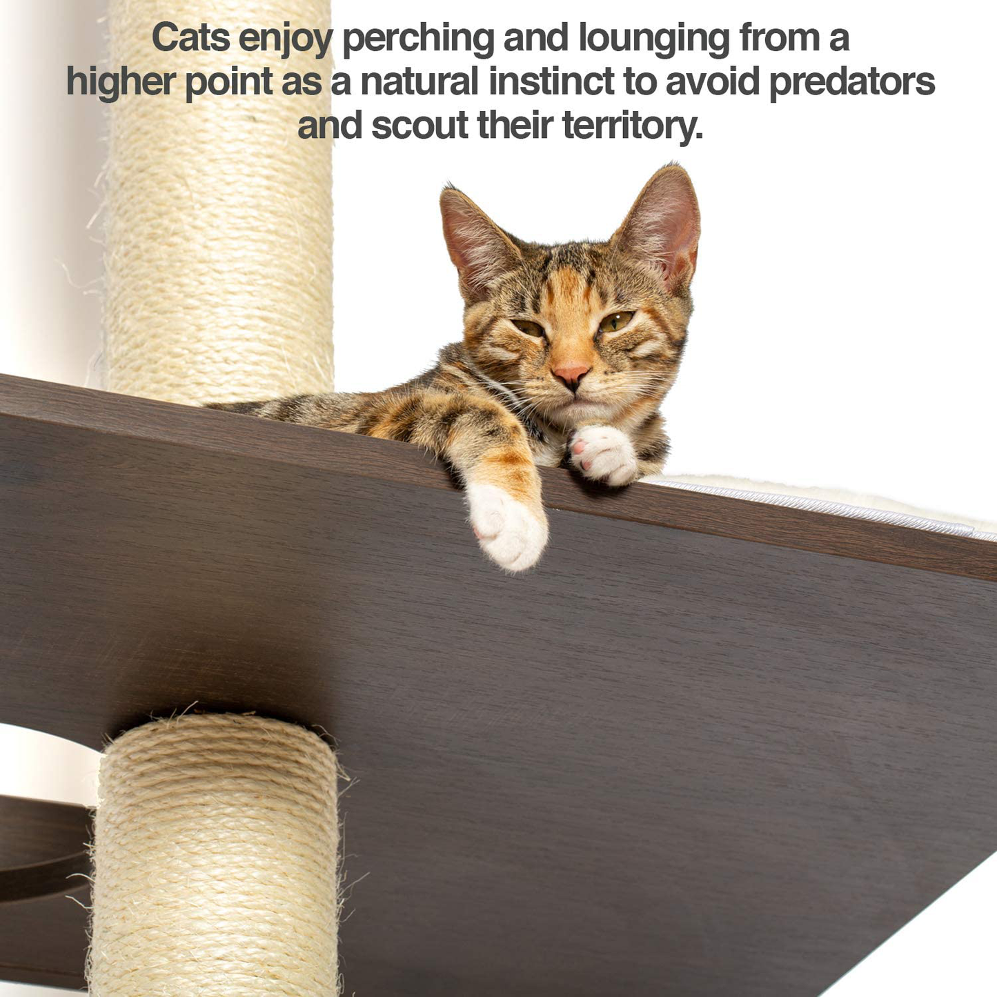 Petfusion Ultimate Cat Climbing Tower & Activity Tree. (24 X 20.8 X 76.8 Inches (Lwh) Tall Sisal Scratching Posts, Modern Wall Mounted Cat Furniture, Espresso Finish). 1 Year Manufacturer Warranty Animals & Pet Supplies > Pet Supplies > Cat Supplies > Cat Furniture PetFusion   