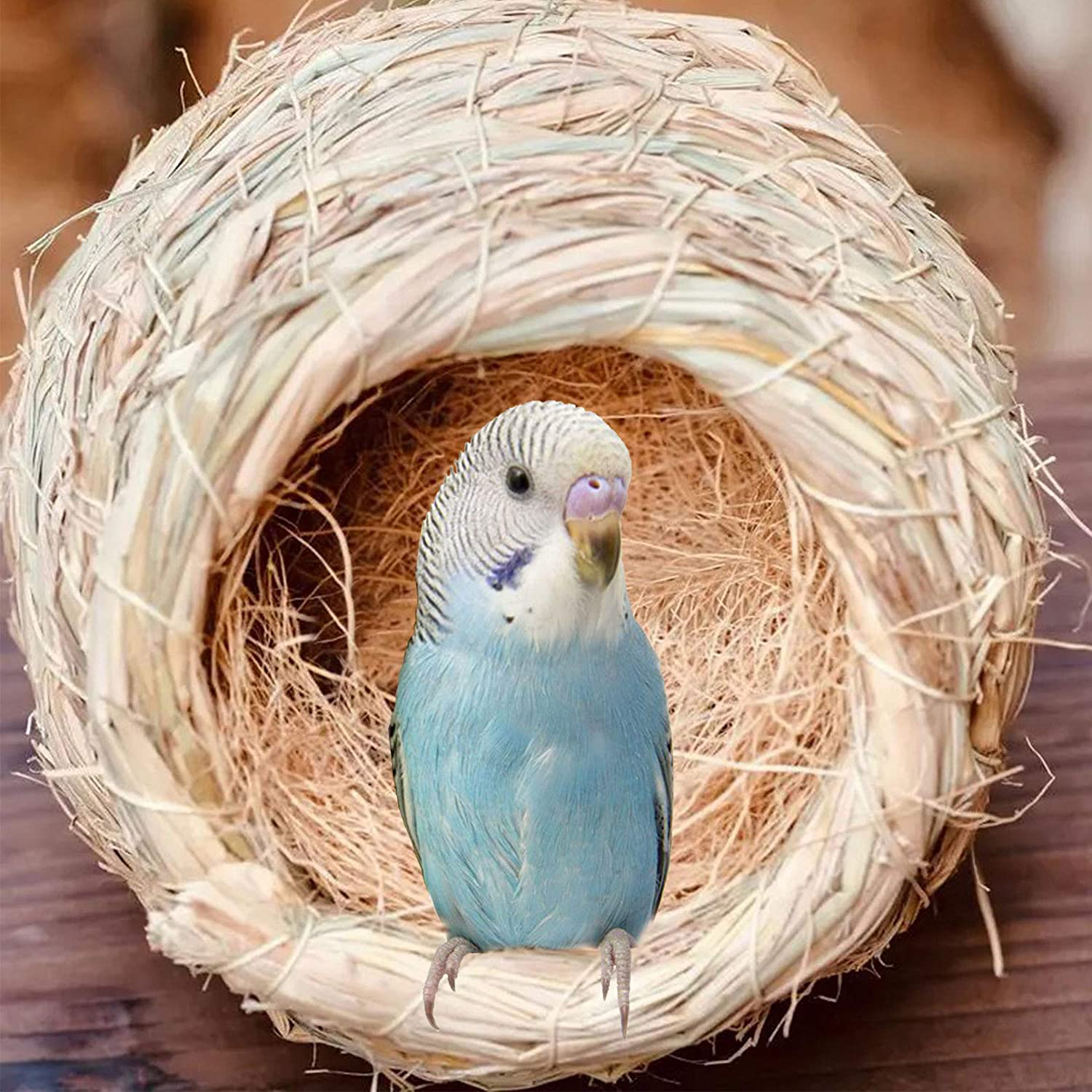 Kathson Bird Nesting Materials Coconut Fiber Bird Nest Bedding Material Warm and Breathable Linen Silk for Bird Small Animals (6 Pack) Animals & Pet Supplies > Pet Supplies > Bird Supplies > Bird Cage Accessories kathson   