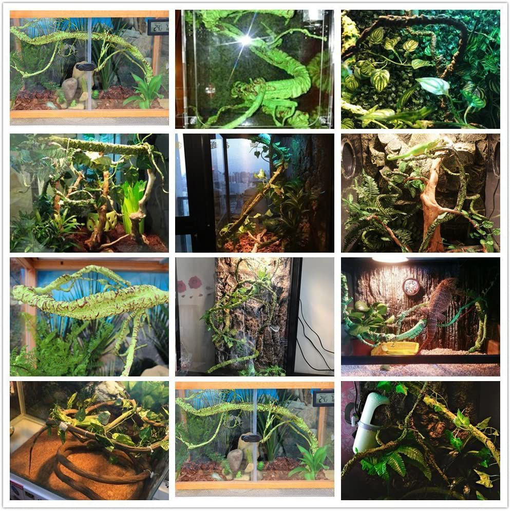 Jungle Vines Flexible Pet Habitat Decor for Lizards, Frogs, Snakes and Other Reptiles Animals & Pet Supplies > Pet Supplies > Reptile & Amphibian Supplies > Reptile & Amphibian Habitats Sockeroos   