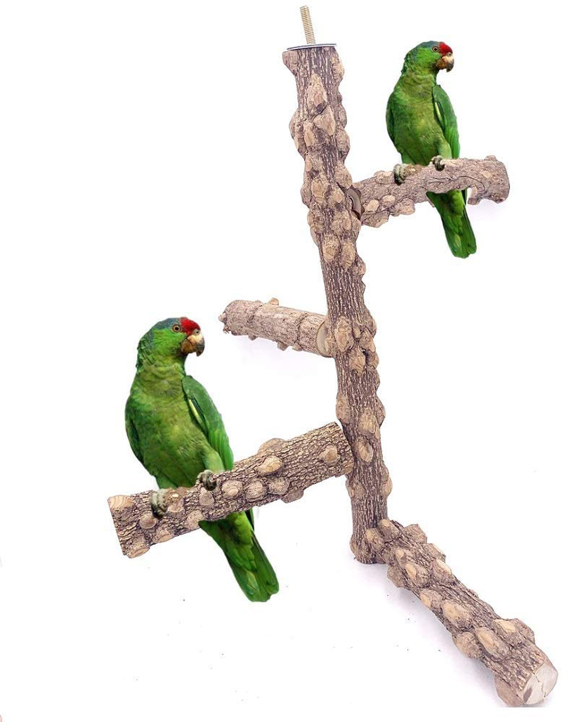 Borangs Bird Perch Natural Wood Stand Toy Branch for 3-4Pcs Small Medium Parrots Cages Toy Animals & Pet Supplies > Pet Supplies > Bird Supplies > Bird Ladders & Perches Borangs Medium  