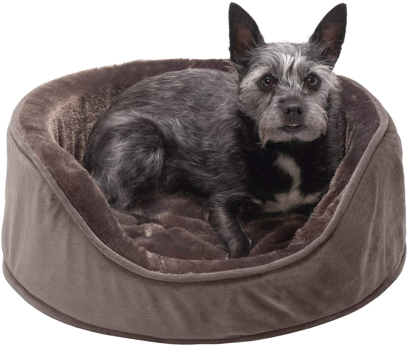 Furhaven Pet Beds for Small, Medium, and Large Dogs - round Oval Cuddler Supportive Dog Bed with Removable Cover - Multiple Sizes & Styles Animals & Pet Supplies > Pet Supplies > Cat Supplies > Cat Beds Furhaven   