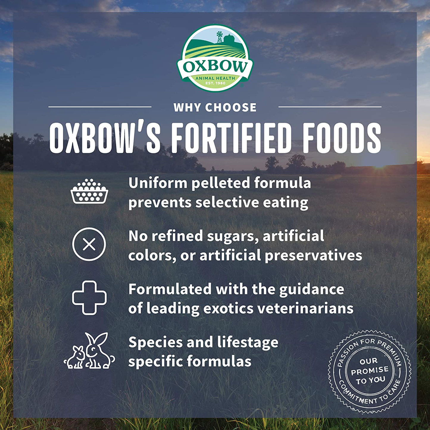 Oxbow Animal Health Organic Bounty Adult Guinea Pig Food - All Natural Adult Guinea Pig Food - 3 Lb.