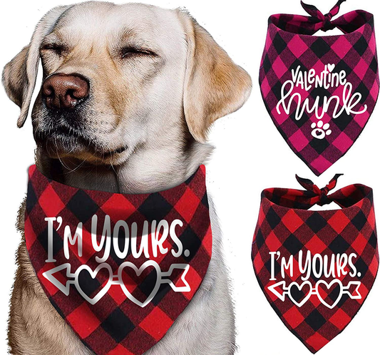 Dog Valentines Day Bandana - Pack of 2 Valentine Bandanas for Dogs Animals & Pet Supplies > Pet Supplies > Dog Supplies > Dog Apparel Pawskido   