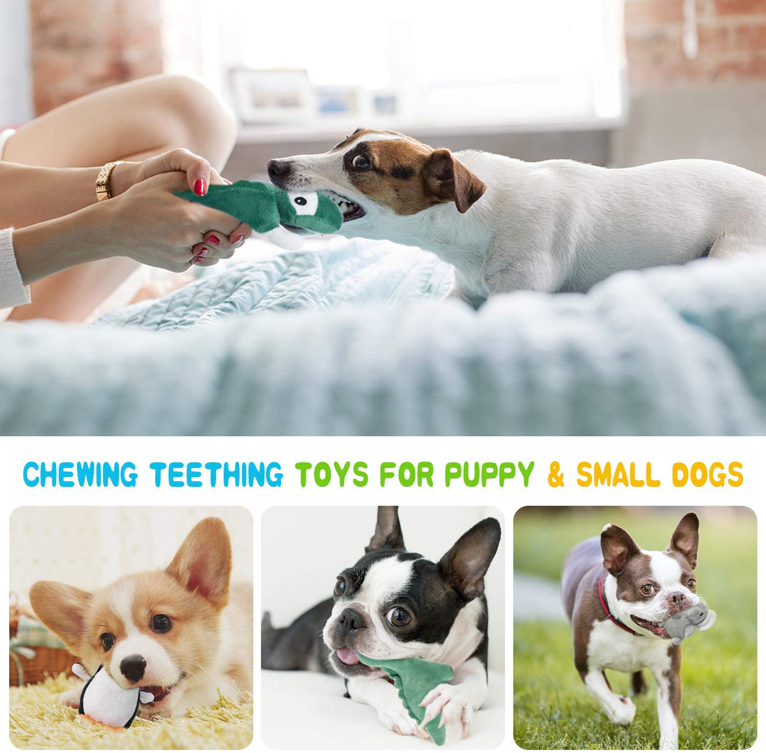 Squeaky Dog Toys for Puppy Small Medium Dogs, Stuffed Samll Dog Toys Bulk with 12 Plush Pet Dog Toy Set, Cute Safe Dog Chew Toys Pack for Puppies Teething Animals & Pet Supplies > Pet Supplies > Dog Supplies > Dog Toys LEGEND SANDY   