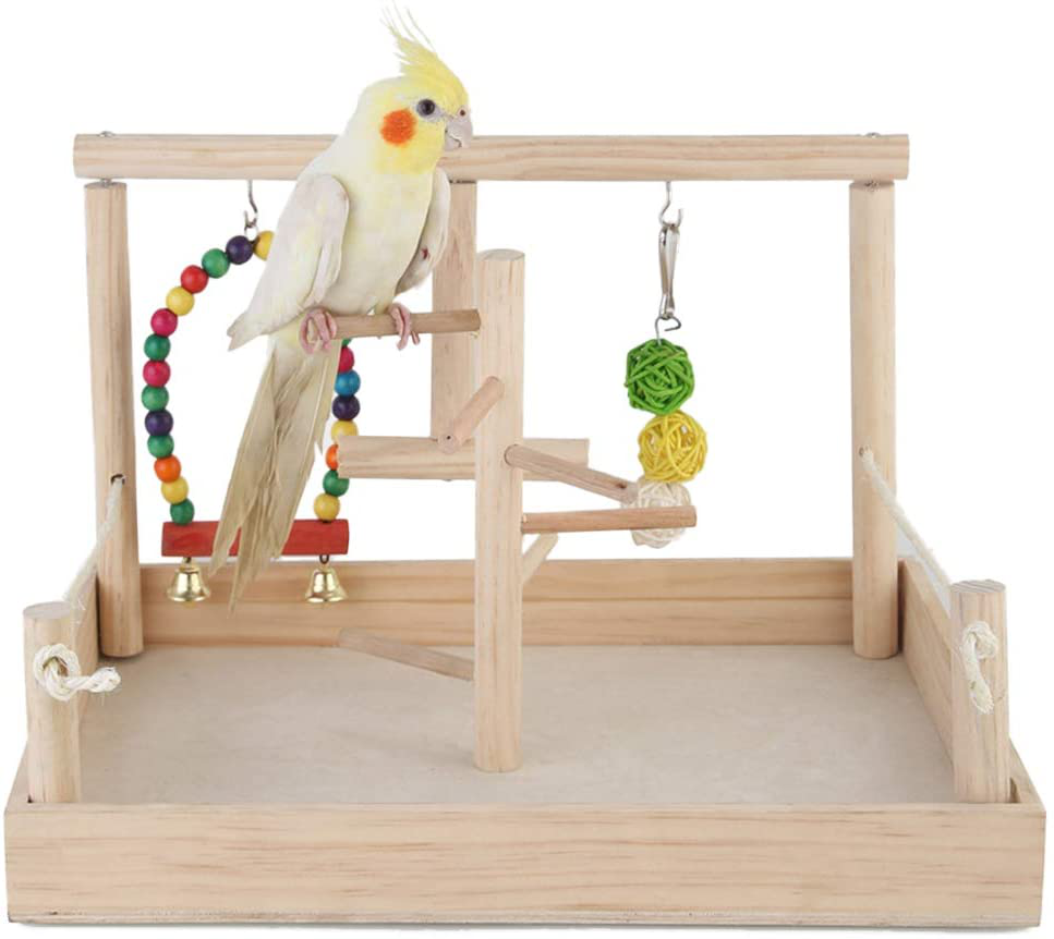 Parrot Playstand Bird Play Stand，Cockatiel Birdcage Stands Wood Perch，Conures Playground Gym Playpen with Ladder Swing Rope Stands Bell Chewing Toys Exercise Play，Best for Cockatoo Macaws African Grey Animals & Pet Supplies > Pet Supplies > Bird Supplies > Bird Gyms & Playstands QBLEEV Wood Stands  